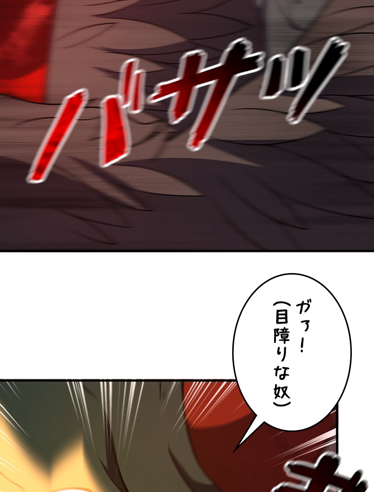 P66