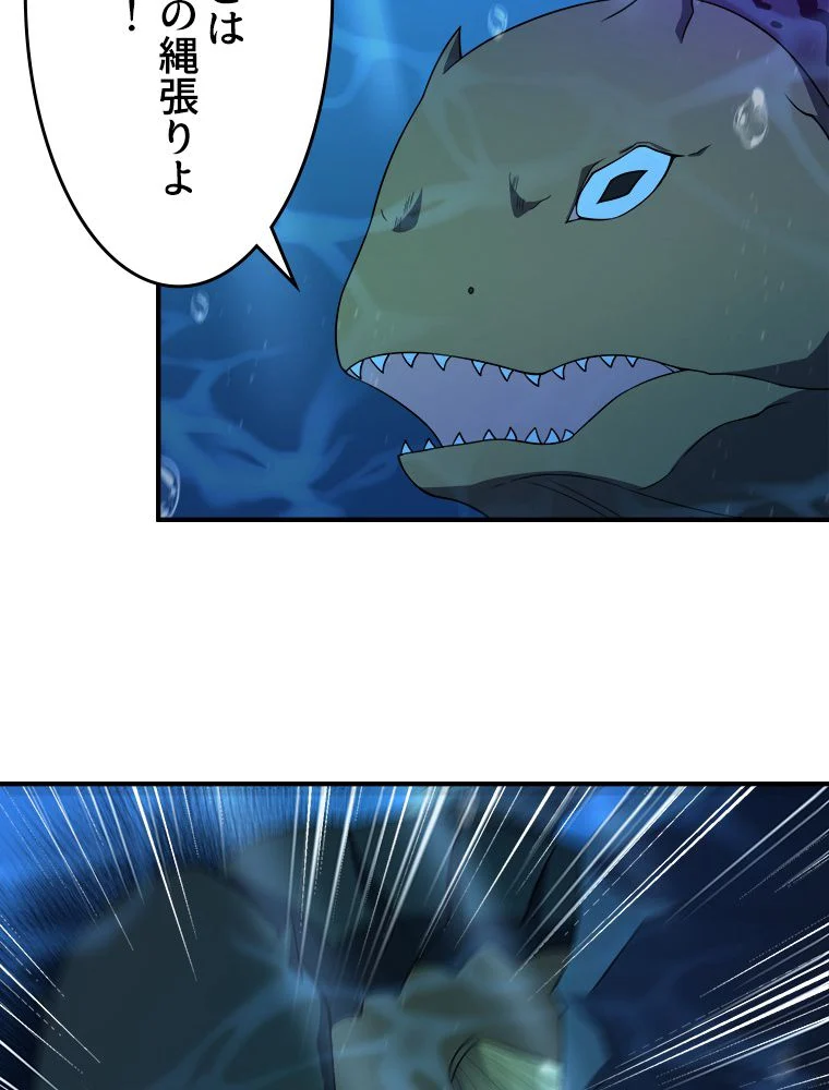 P66