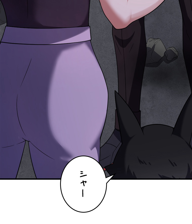 P53