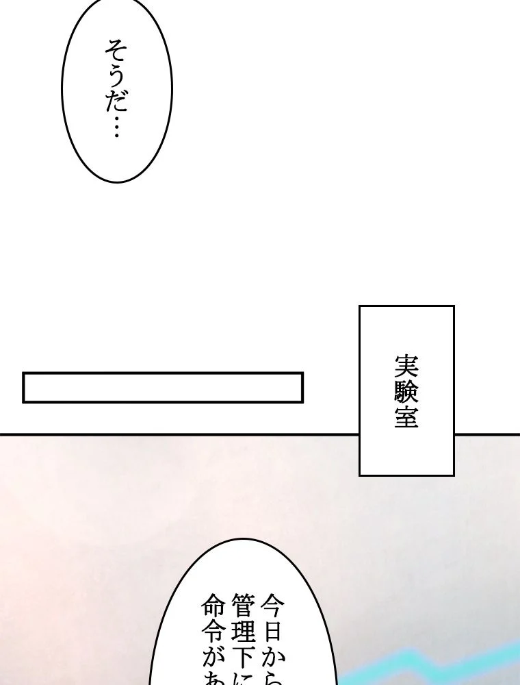 P67