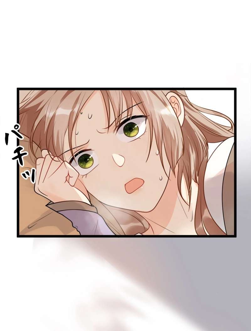 P53