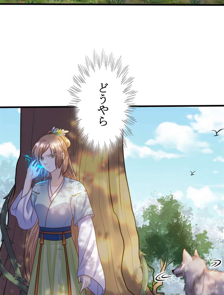 P44