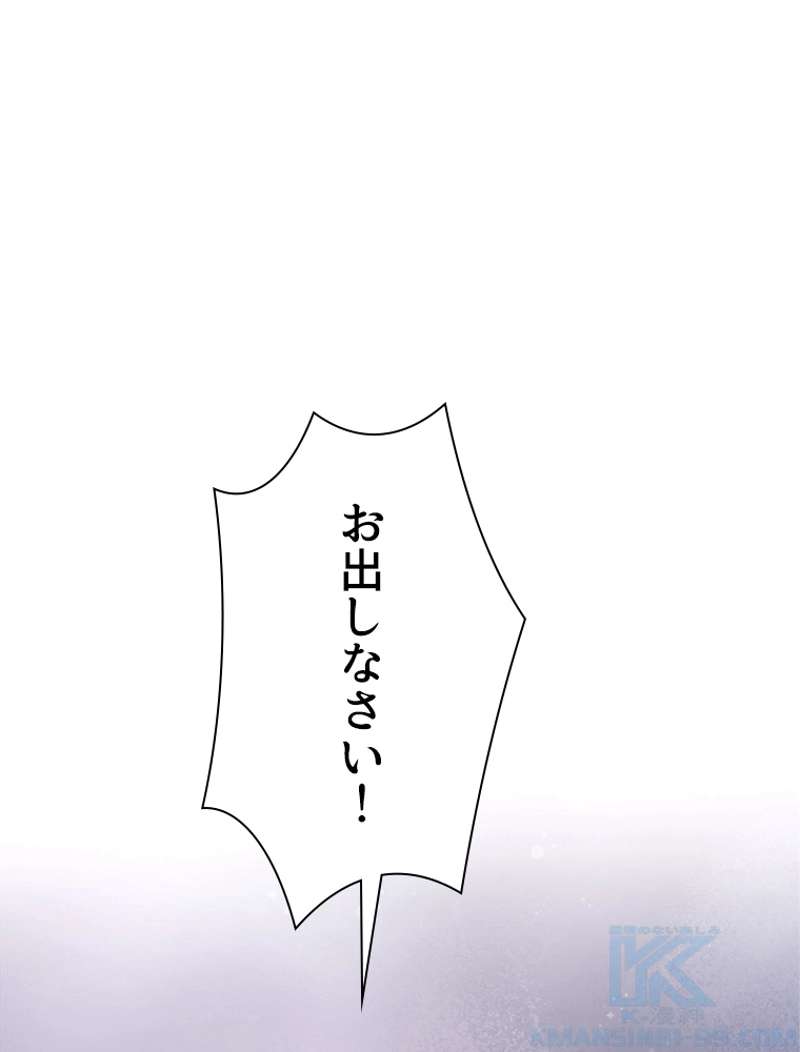 P58