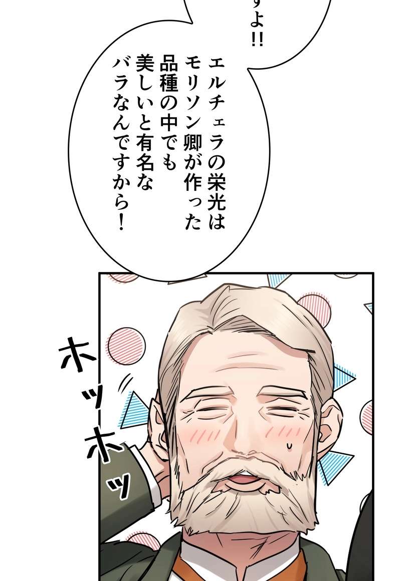 P63