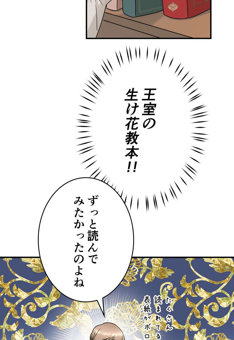 P66