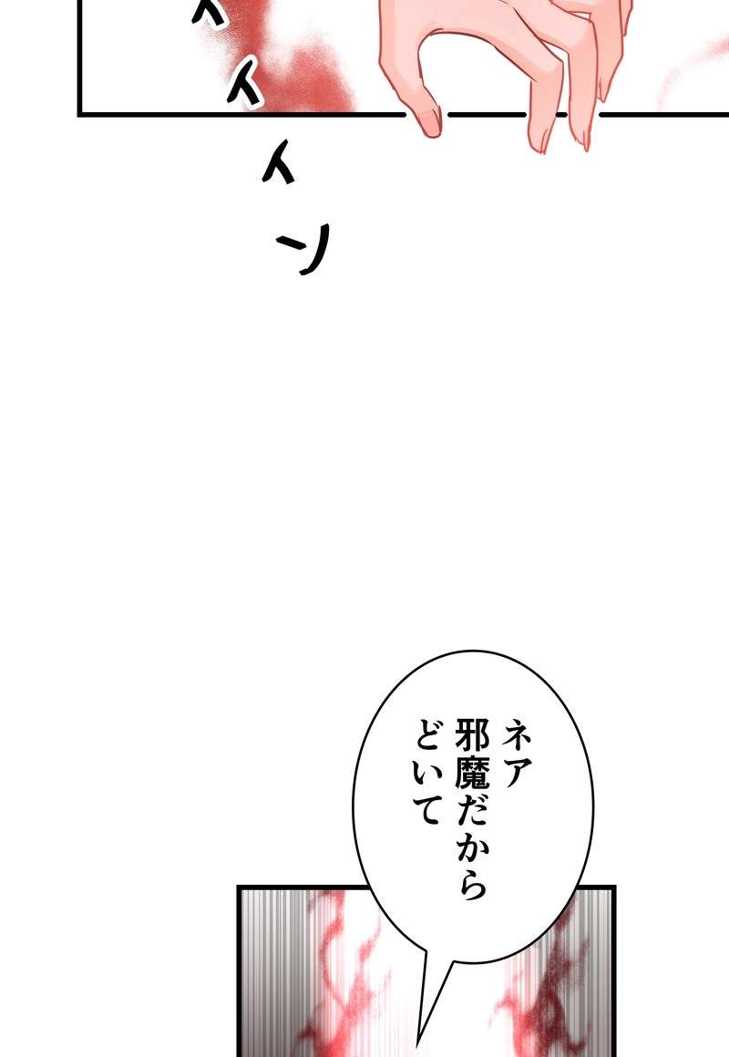 P53