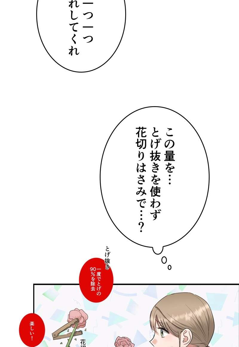 P66