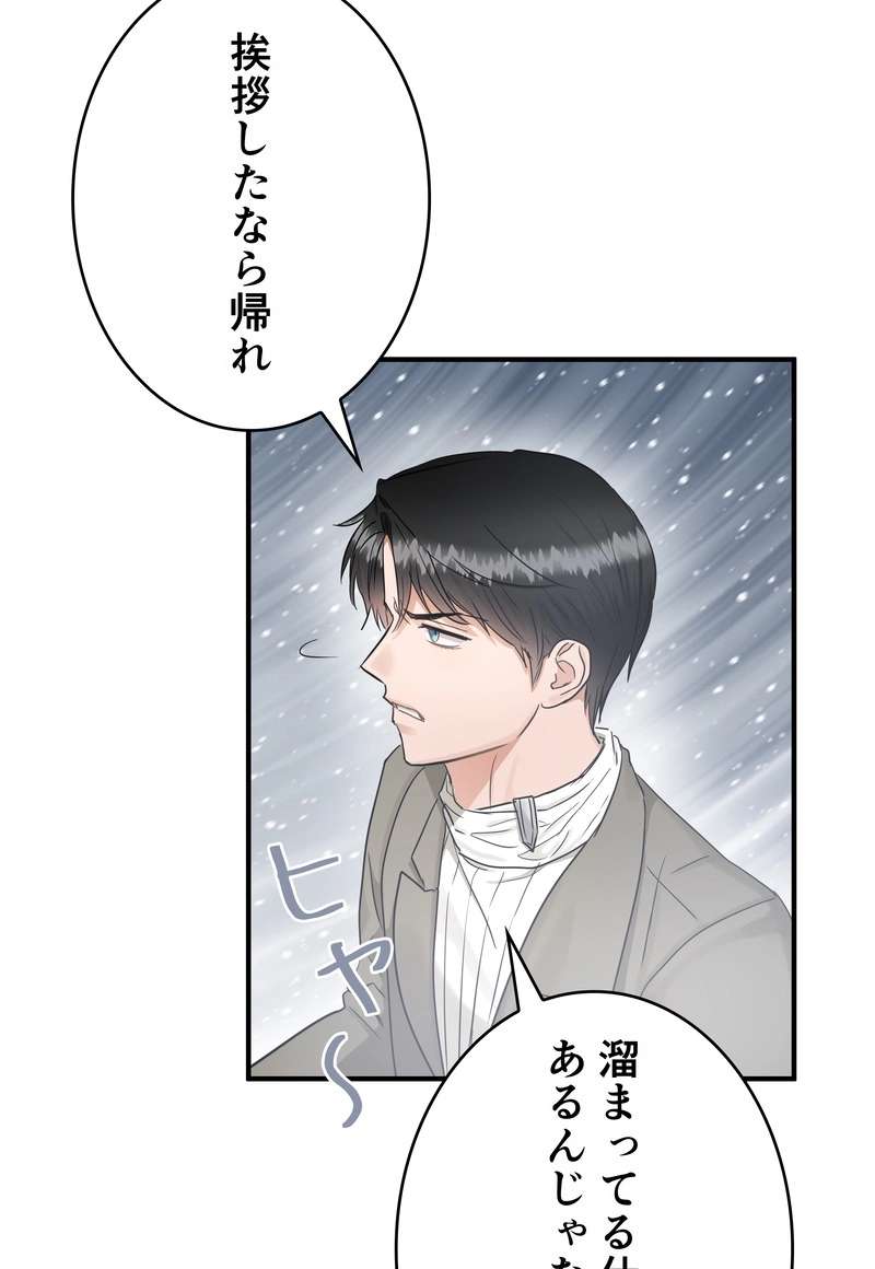 P53
