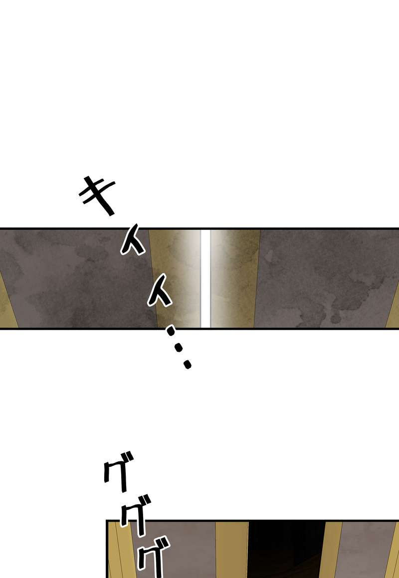 P48