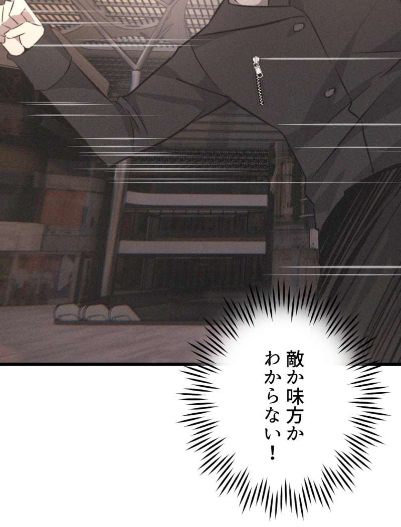 P63