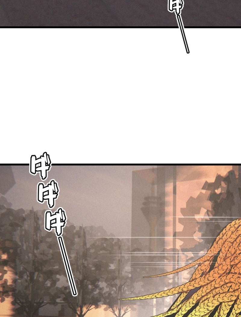 P65