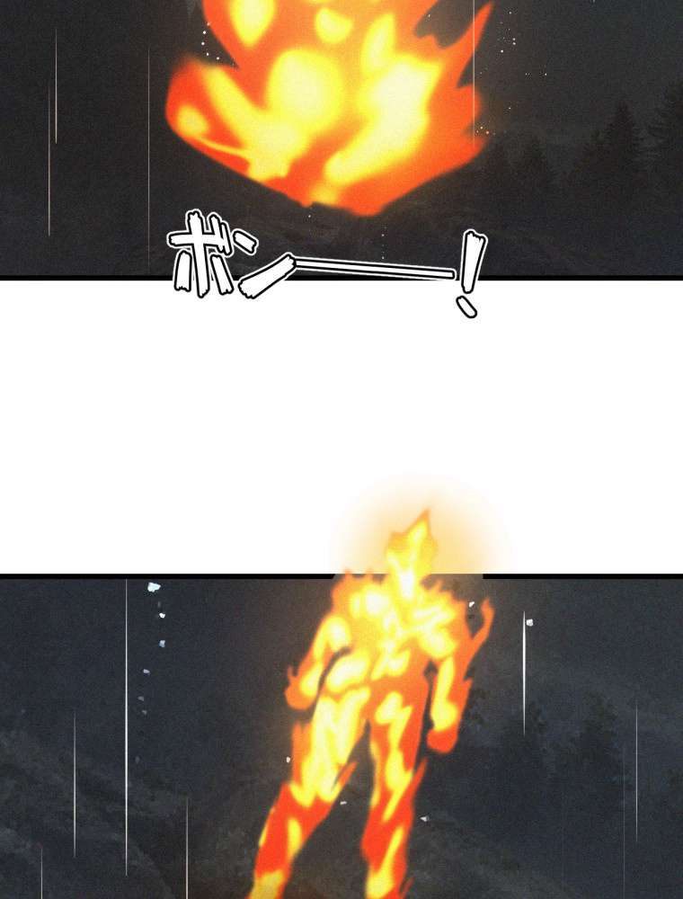 P53