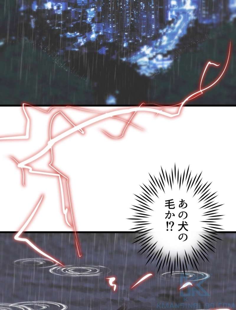P58