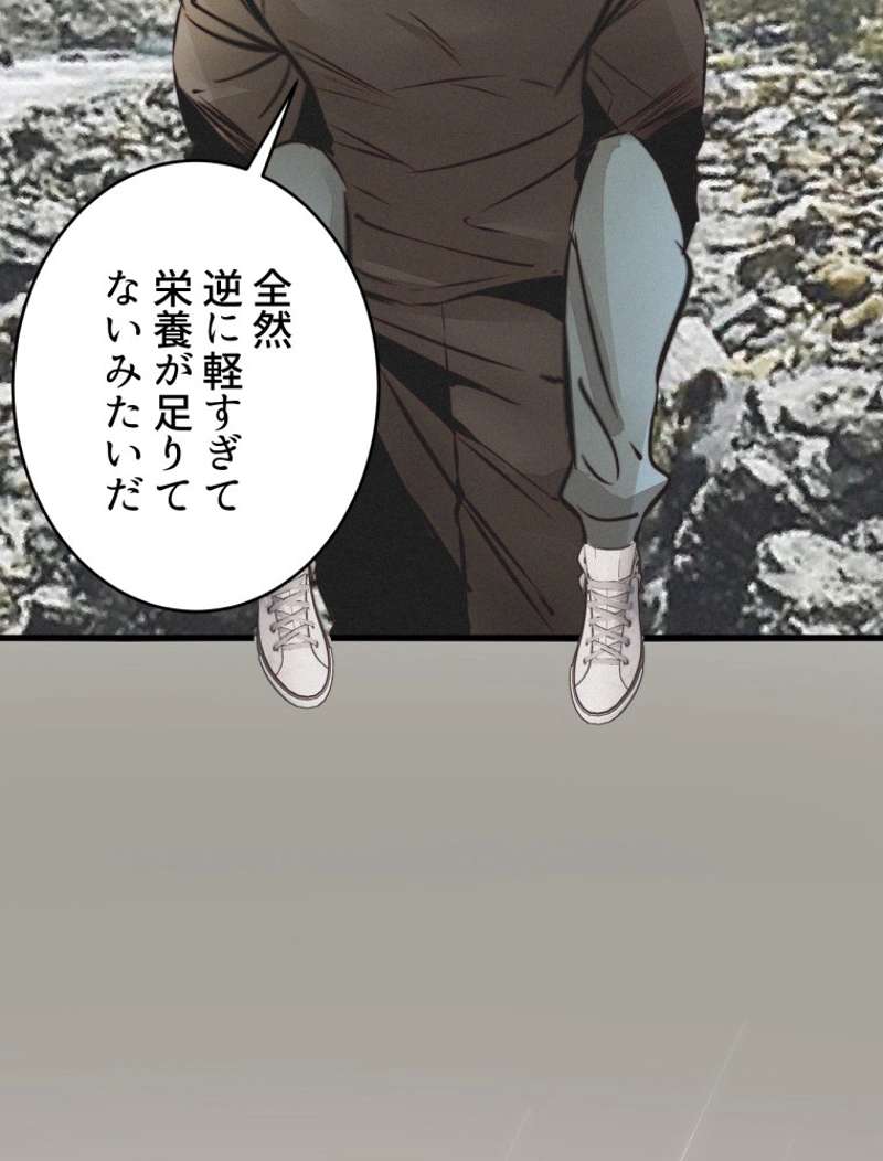 P63