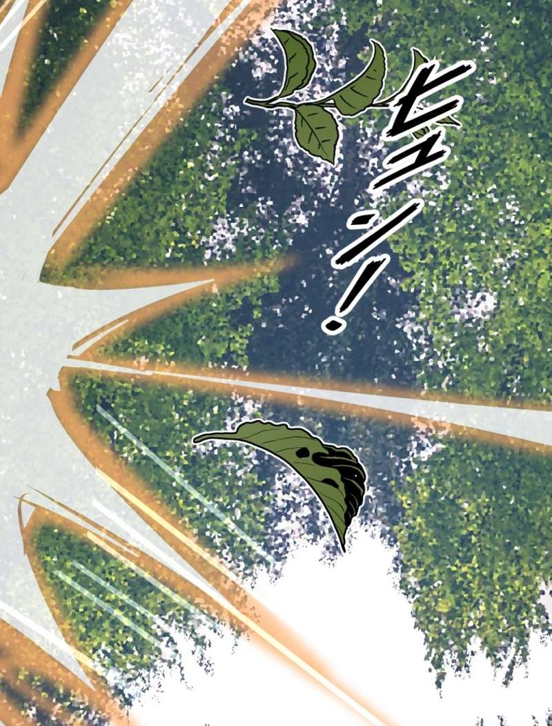 P51