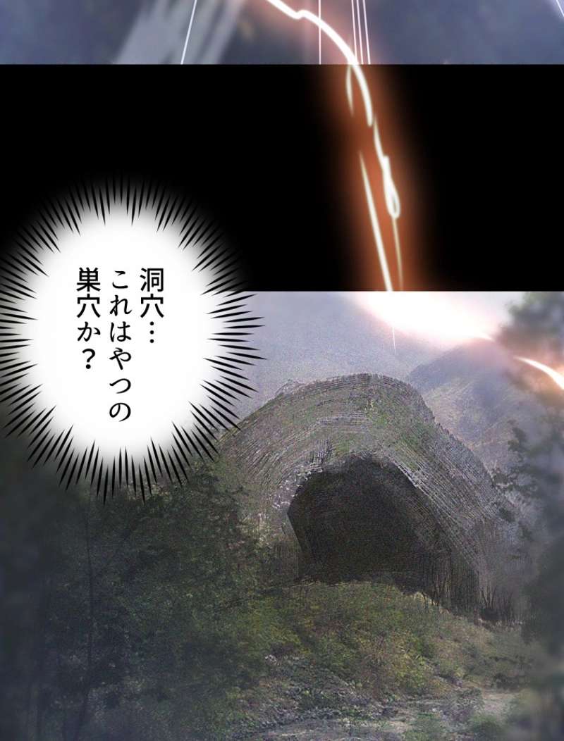 P63