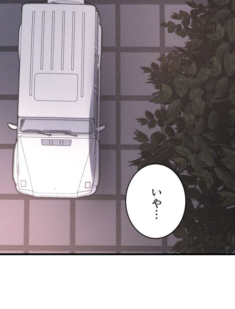 P63