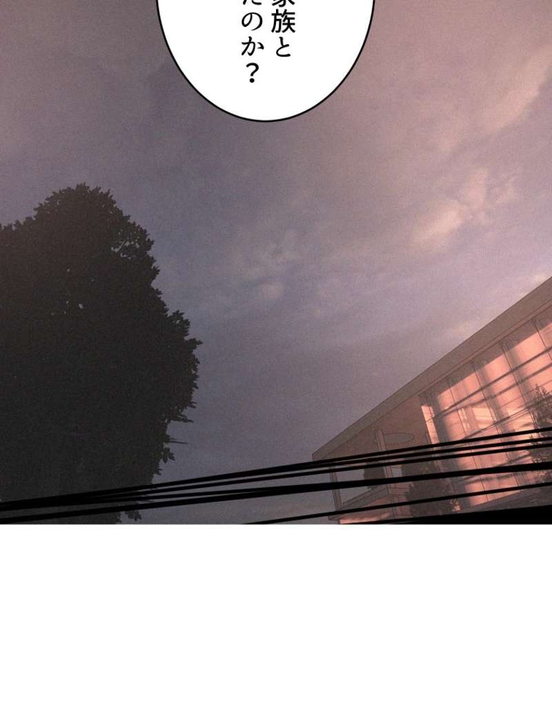 P66