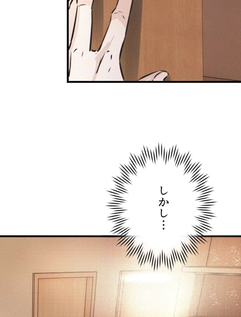 P63