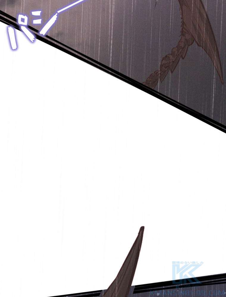 P58
