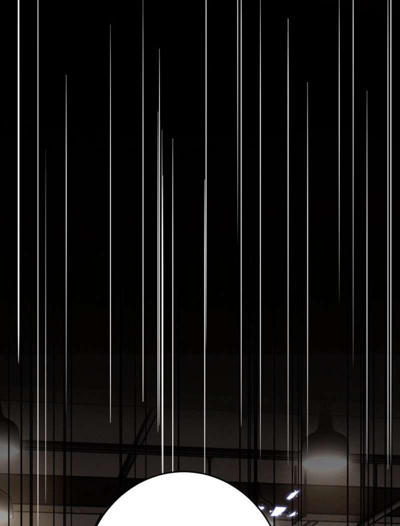 P53