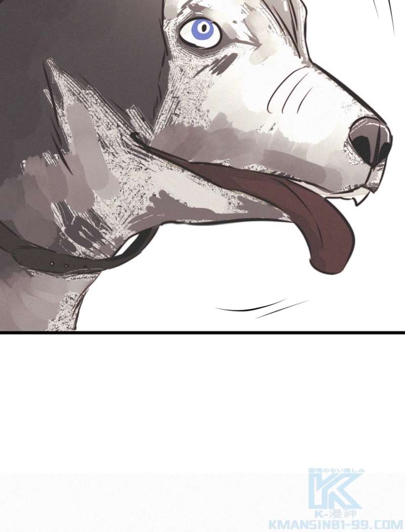P58