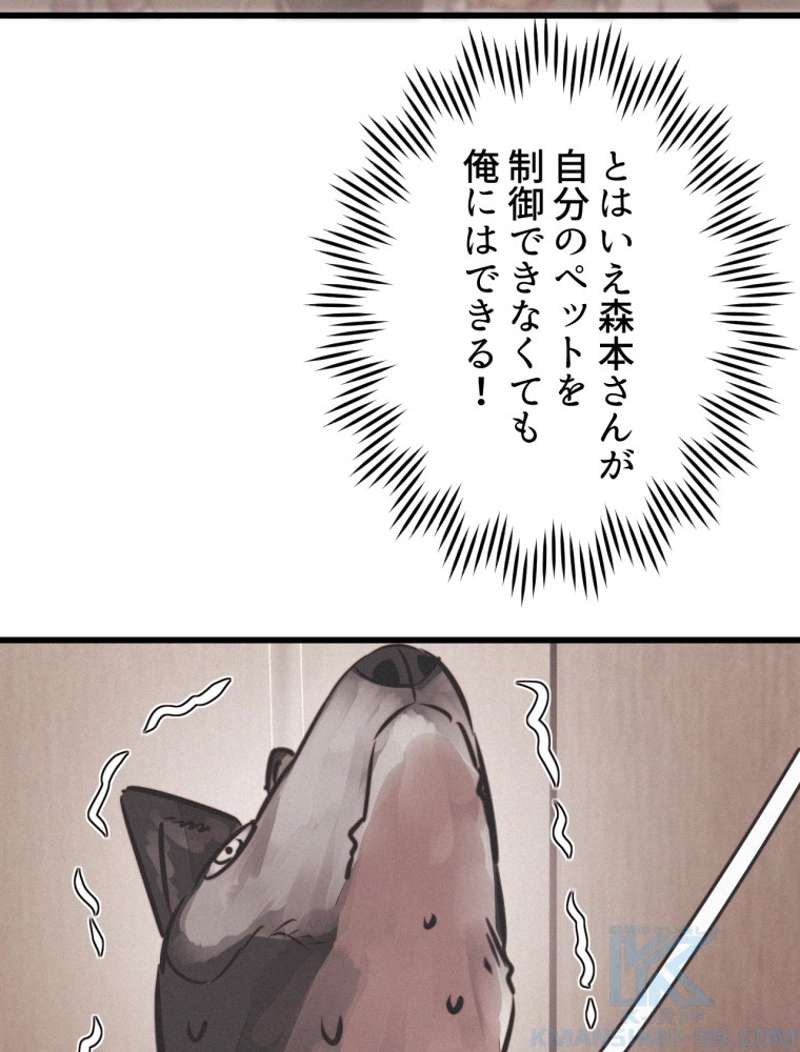 P67