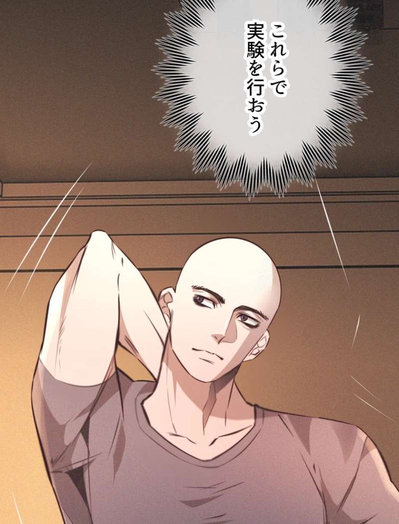 P53