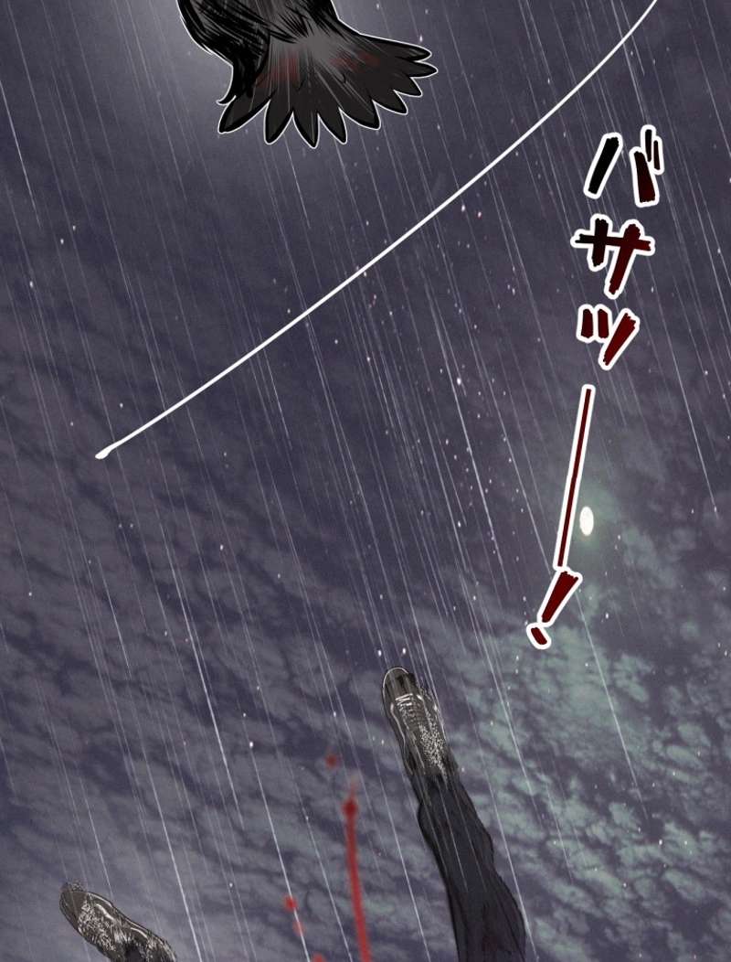 P41