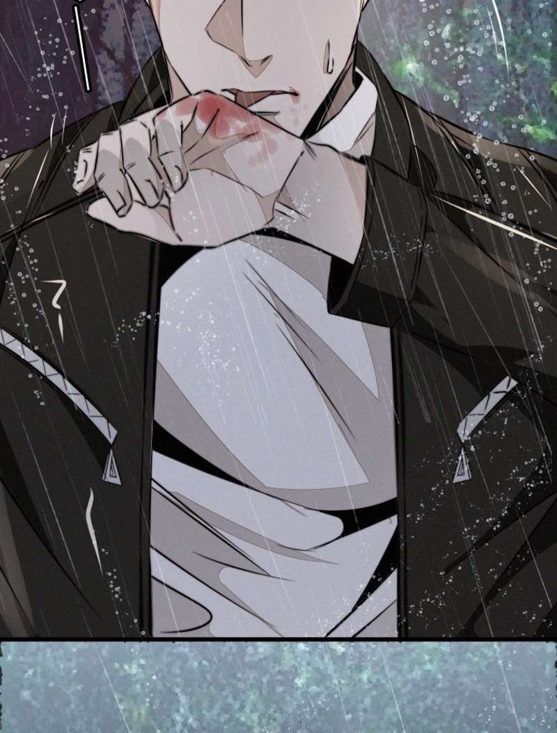 P53