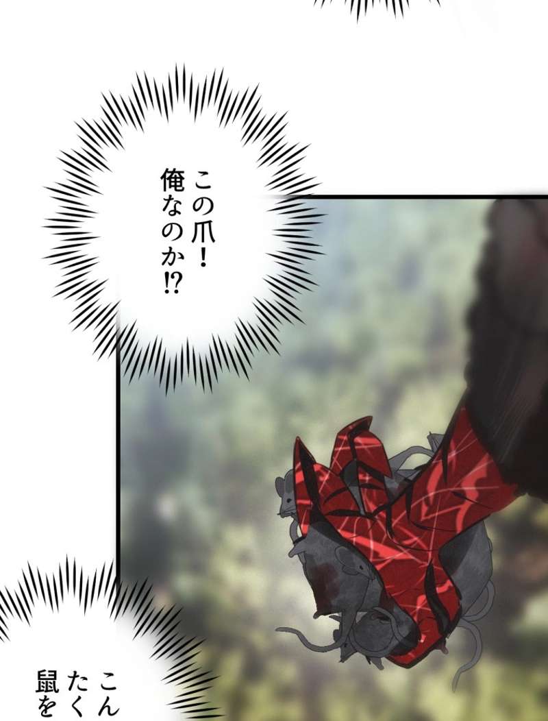 P66