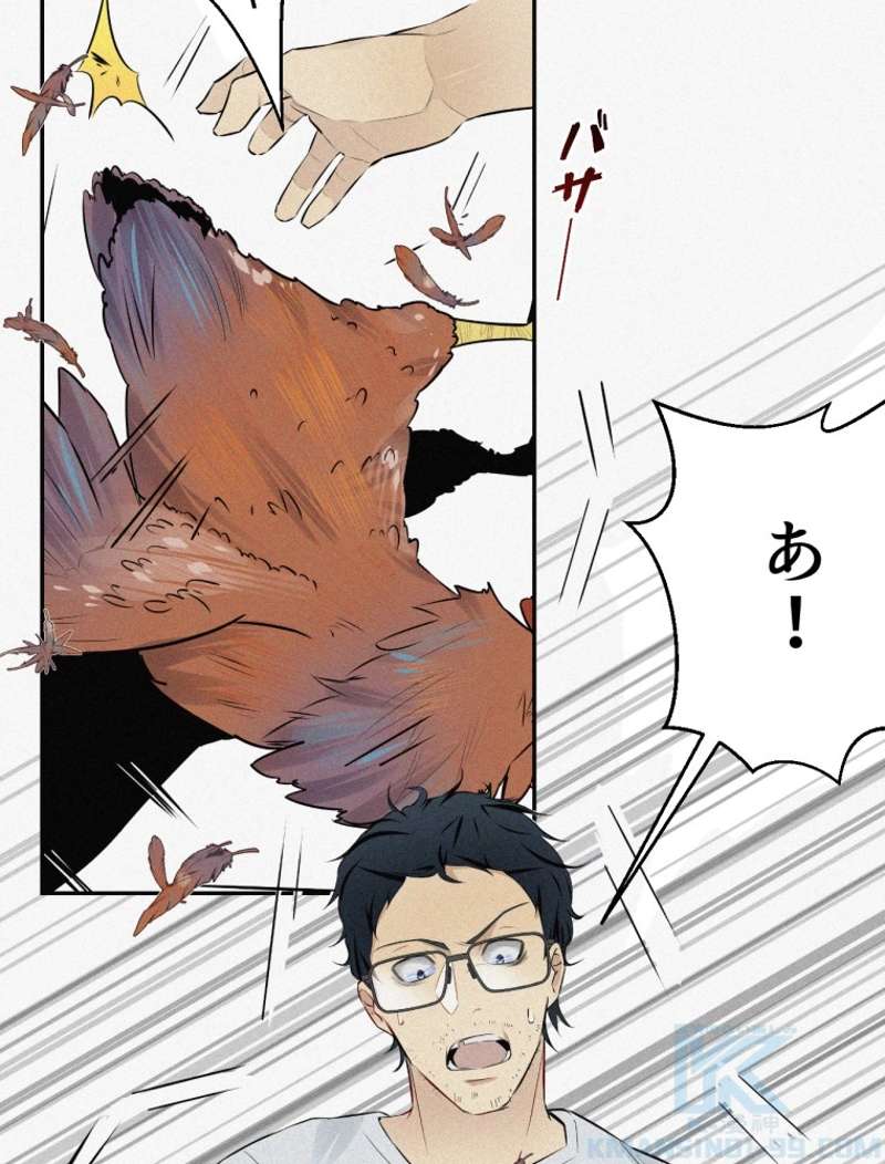 P97