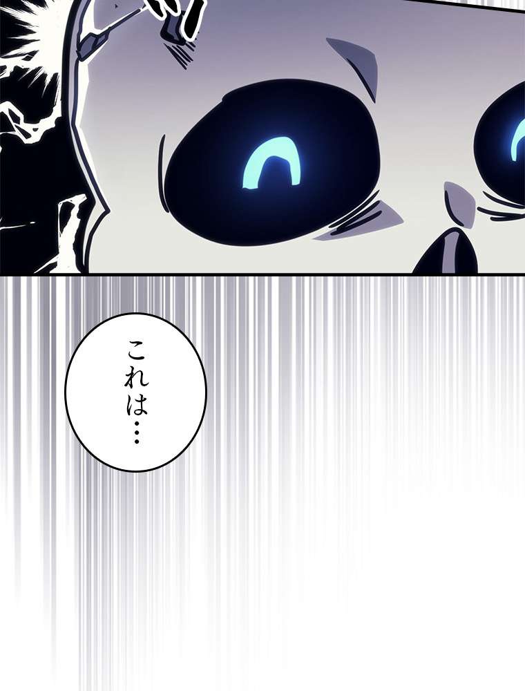 P113