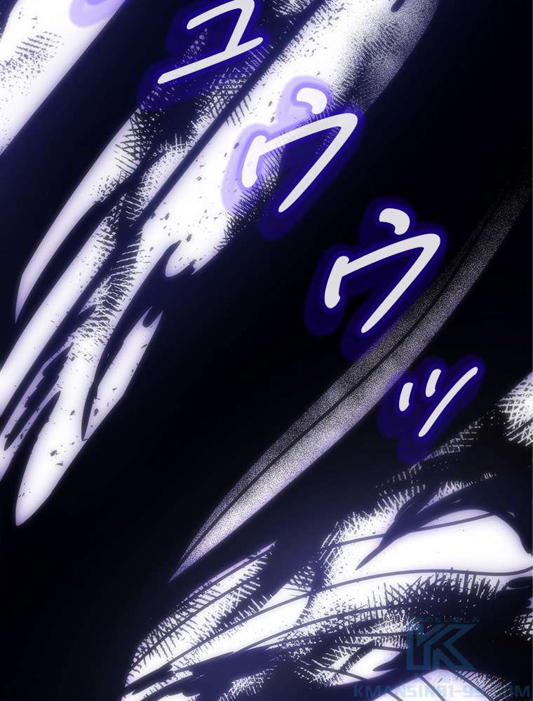 P61