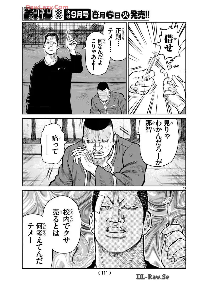 P29