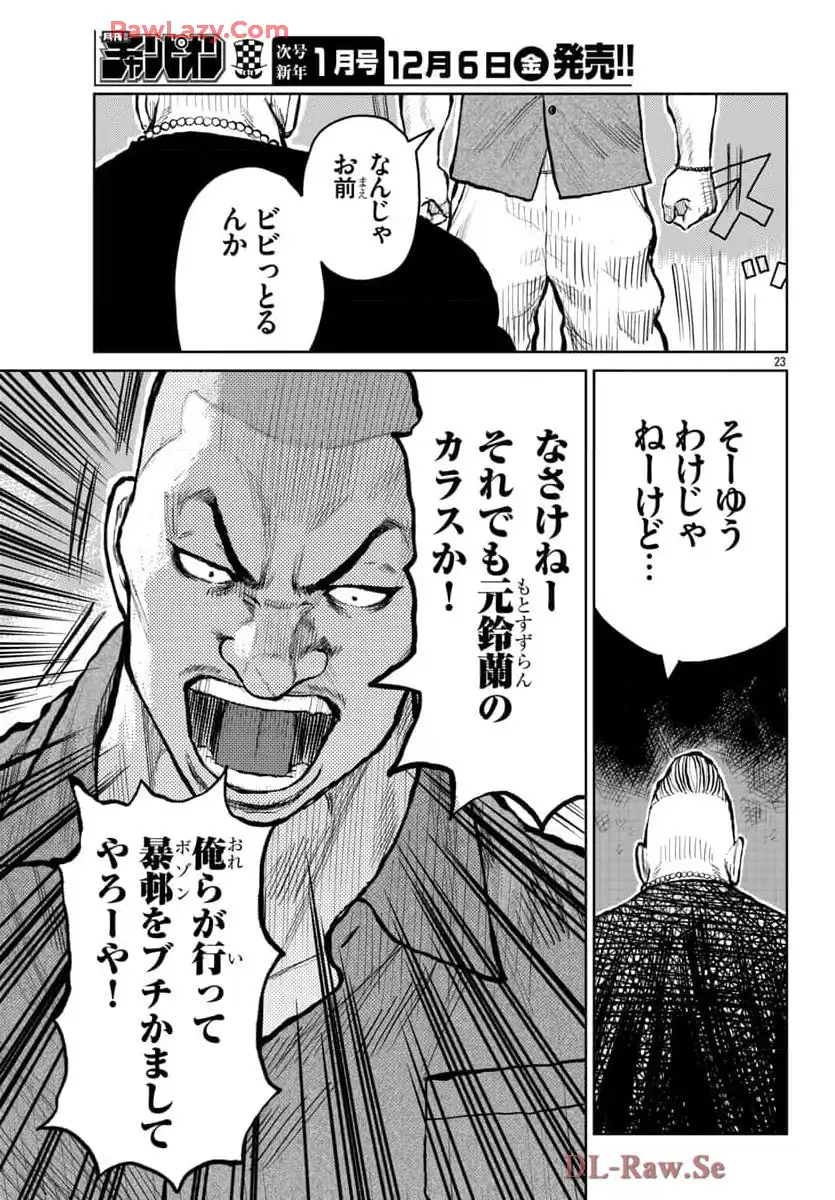 P23