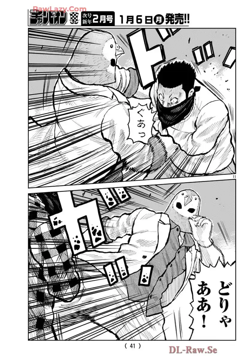 P11