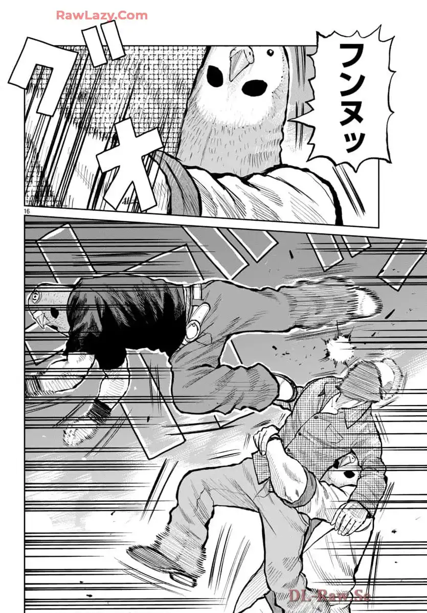 P16