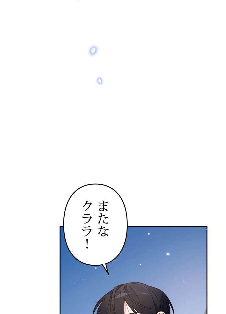 P63
