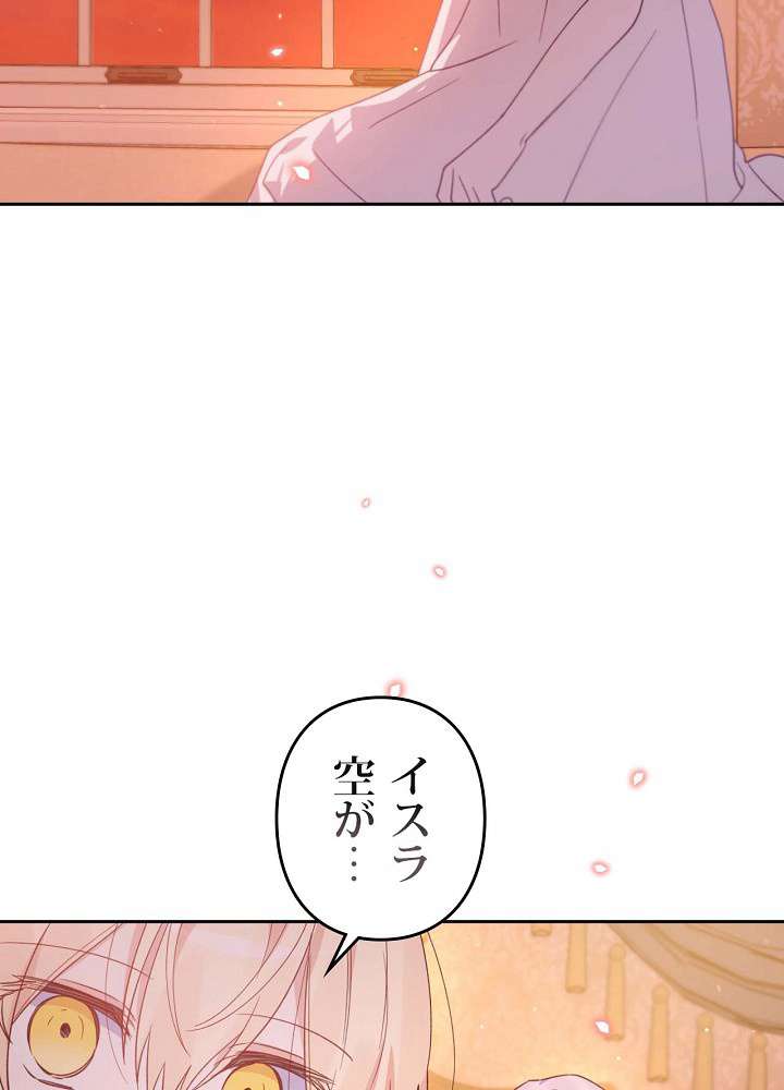 P84