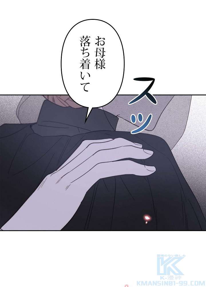 P61