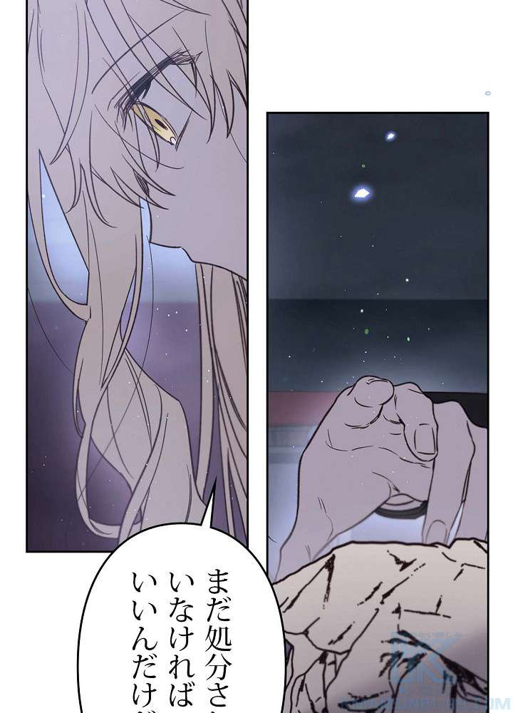 P79
