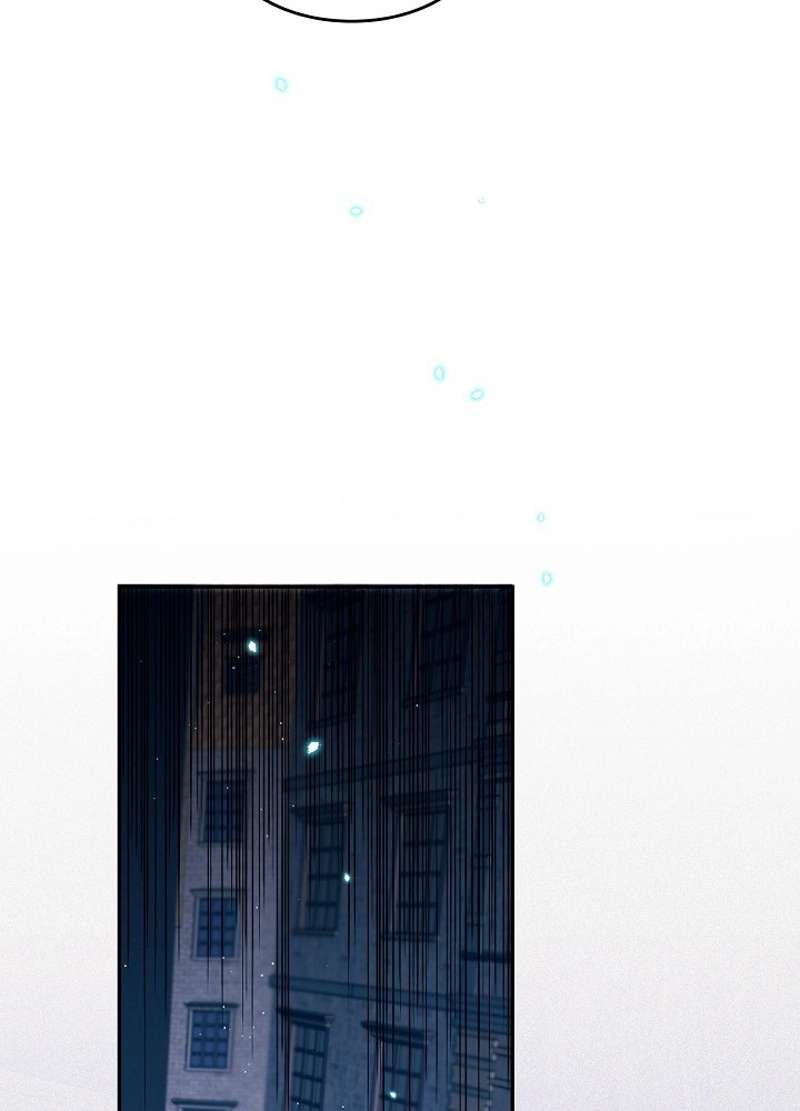 P63