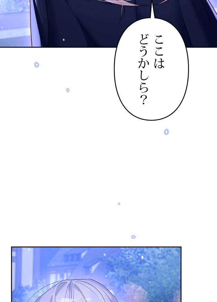 P63