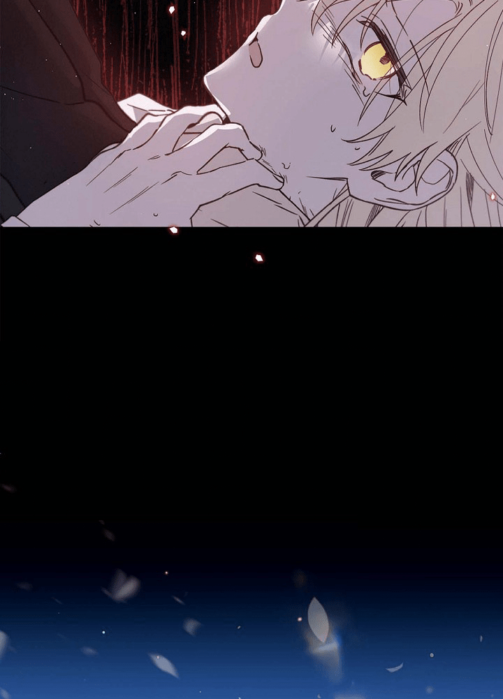 P56