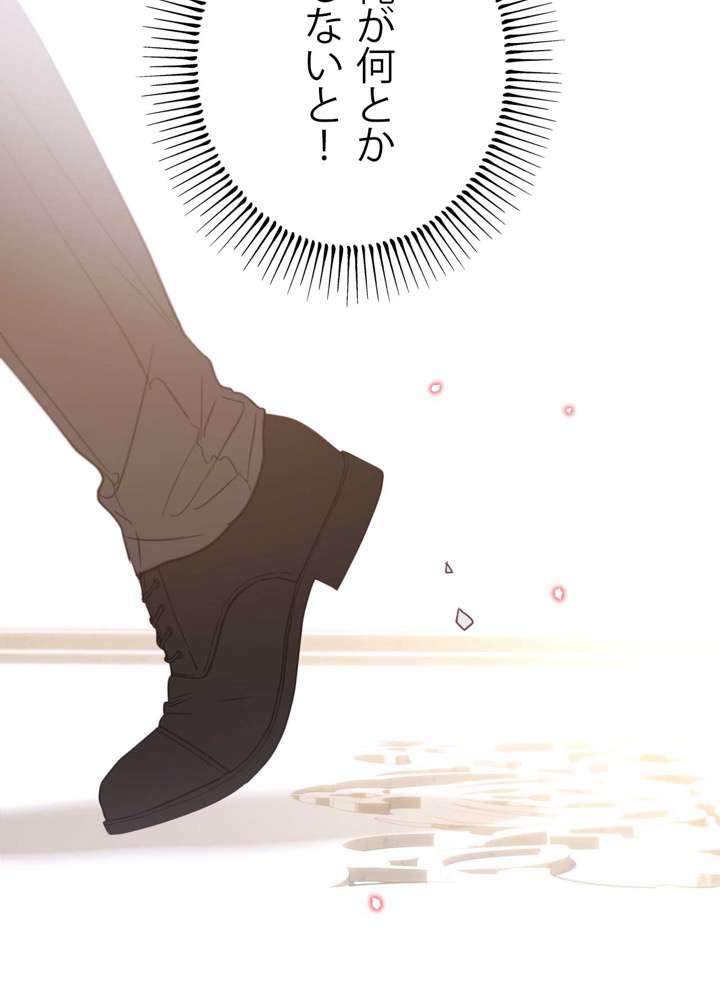 P24
