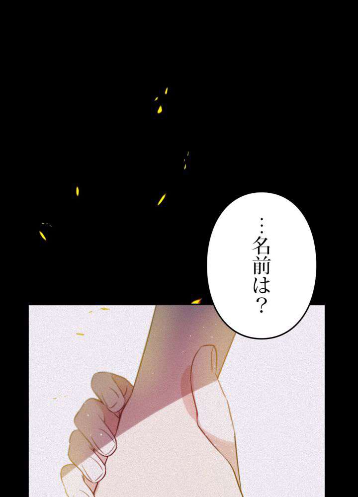 P24