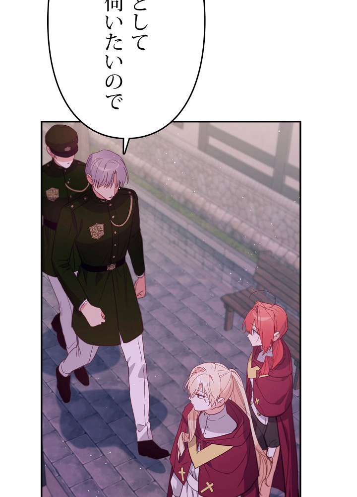 P63