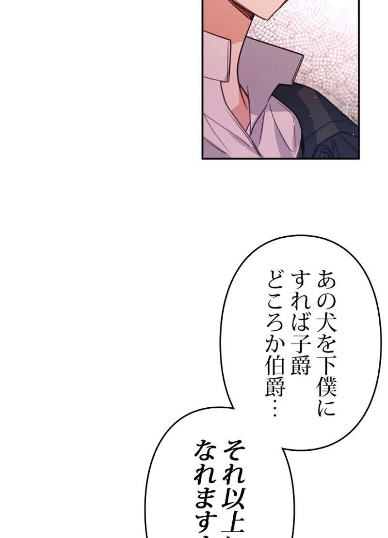 P62
