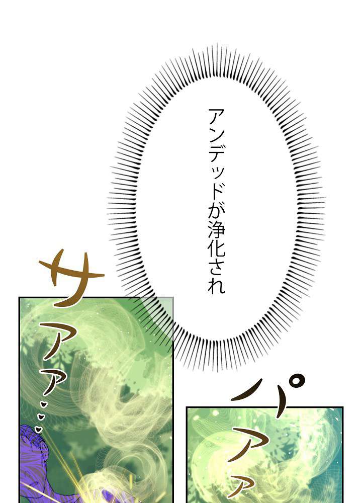 P66